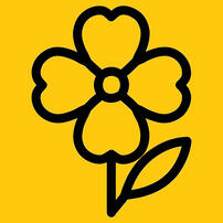 CorMundi_GraduationCap